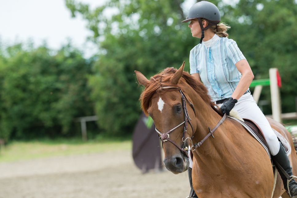 Trottingul ecvestru (Show jumping) - sportul pentru iubitorii de cai