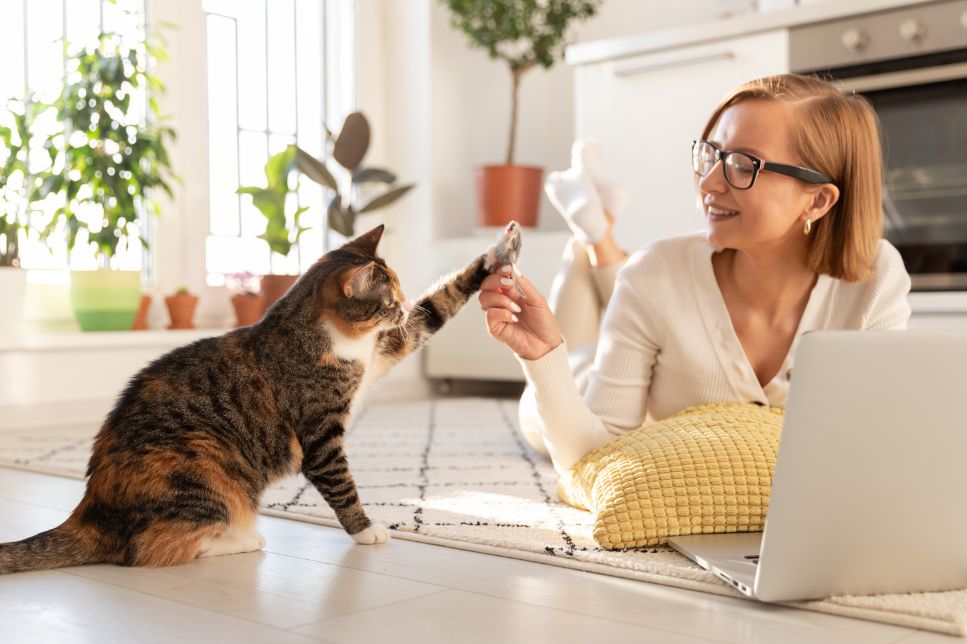 Felinoterapia - cum arată terapia cu pisici?