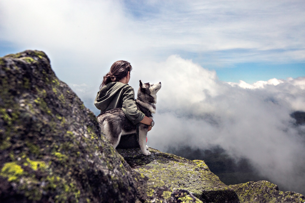 Un Husky stă cu stăpânul său în vârful unui munte. O doză mare de exerciții fizice și de mișcare este o necesitate pentru câinii din această rasă.