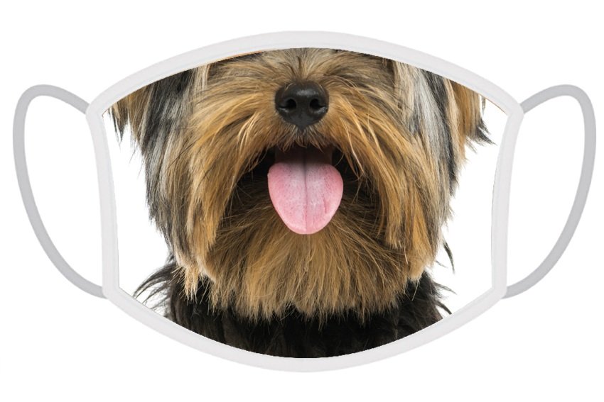 FERA 3x Masca de protectie Yorkshire Terrier