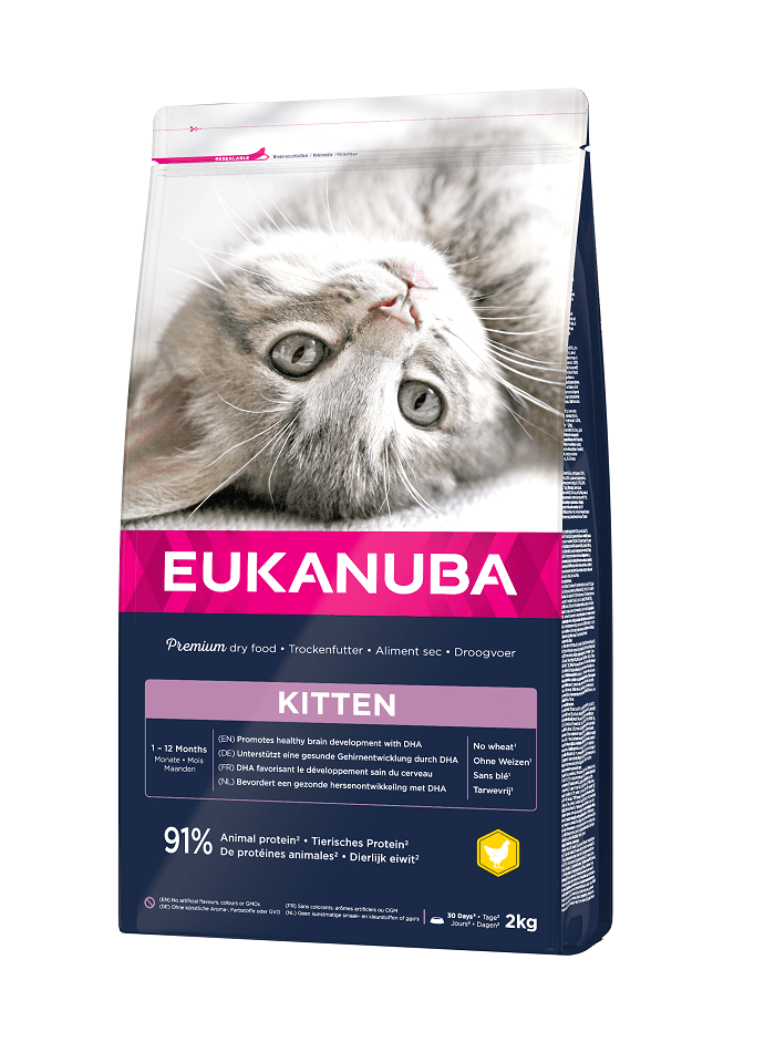 EUKANUBA Cat Kitten All Breeds Healthy Start Chicken & Liver Hrana uscata pentru pisici junior, cu pui si ficat 2 kg