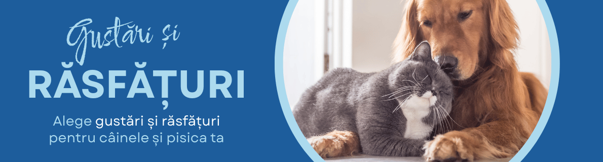 GUSTĂRI ȘI RĂ SFĂȚURI