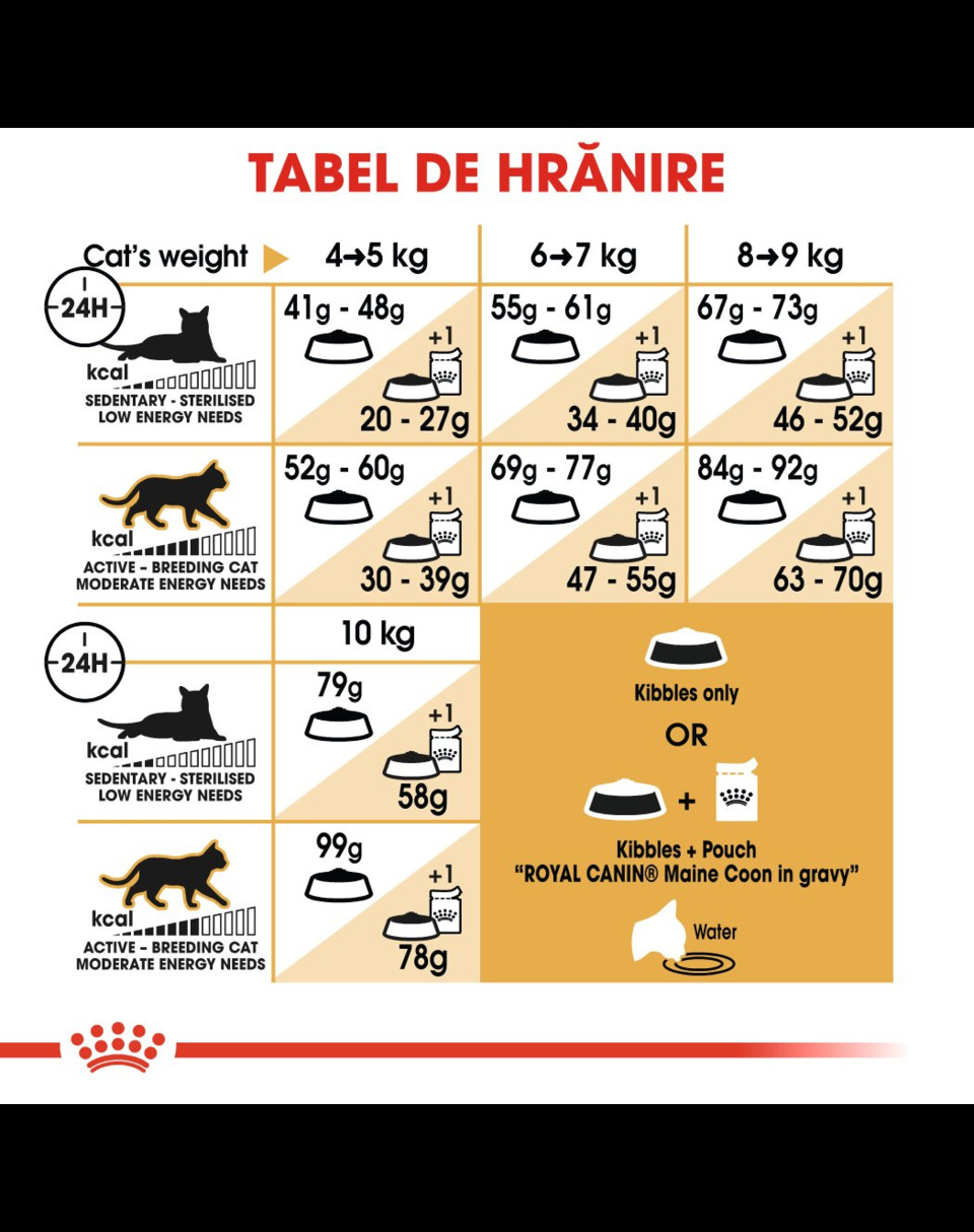 Royal Canin Maine Coon Adult hrana uscata pisica, 4 kg :: Pisici ...