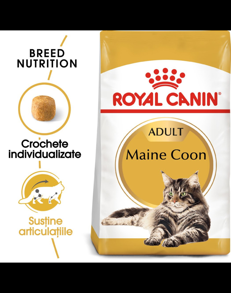 Royal Canin Maine Coon Adult hrana uscata pisica, 4 kg :: Pisici ...