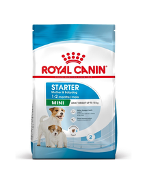 ROYAL CANIN Mini Starter Mother & Babydog hrana dietetica pentru catea mama si puii pana la 8 saptamani de talie mica 1 kg
