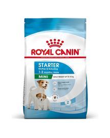 ROYAL CANIN Mini Starter Mother & Babydog 8 kg hrana dietetica pentru catea mama si puii pana la 8 saptamani de talie mica
