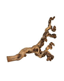 TRIXIE Decoratiune terariu, radacina vita 5 buc. sablate 40-60 cm