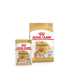 ROYAL CANIN Pomeranian Adult 3 kg + hrană umedă Pomeranian Adult 12x85g