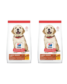 HILL'S Puppy Large Breed Chicken 29 kg (2x14,5 kg) hrana pui caine talie mare, cu pui
