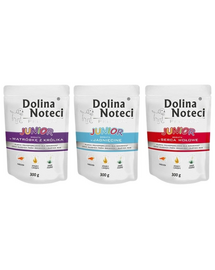 DOLINA NOTECI Junior Premium mix hrană câini junior 12x300g