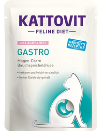 KATTOVIT Feline Diet Gastro cu somon si orez, hrana pisici 85 g