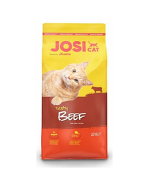 JOSERA JosiCat Tasty Beef 650g Hrana uscata pisici adulte, cu vita