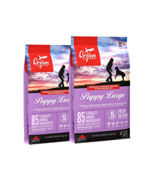 ORIJEN Puppy Large hrana uscata caini juniori de talie mare 22,8 kg (2 x 11,4 kg)