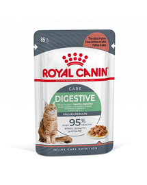 ROYAL CANIN Digestive Care in sos 24x85 g hrana umeda pisici adulte, cu tract digestiv sensibil