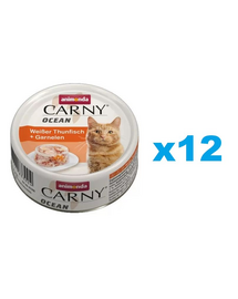ANIMONDA Carny Ocean ton alb și creveți 12x80g