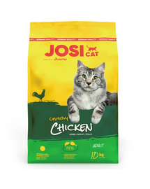 JOSERA JosiCat Crunchy Chicken 2x10kg cu pasari de curte, hrana pisici adulte