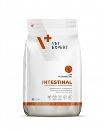 VET EXPERT Veterinary Diet Cat Intestinal 2 kg dieta pisici cu afectiuni intestinale