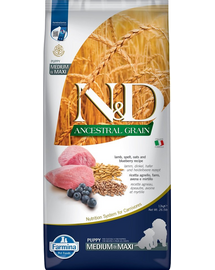 N&D Low Grain Dog Lamb & Blueberry Puppy Medium & Maxi Sac hrana catei talie medie si mare, cu miel si afine 12 kg