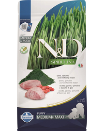 FARMINA N&D Spirulina Puppy Medium&Maxi Lamb & Wolfberry 2 kg Hrana catei de talie medie si mare, cu miel si spirulina