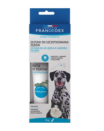 FRANCODEX Set periuță și pastă de dinți
