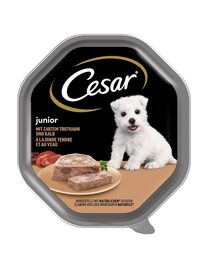 CESAR Junior pate pentru pui de catel 150 g curcan si vitel