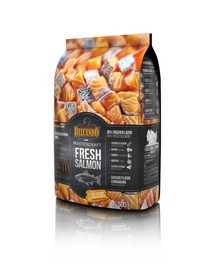 BELCANDO Mastercraft Fresh salmon Hrana uscata pentru caini adulti activi, cu somon 500 gr