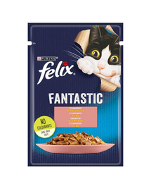 FELIX FANTASTIC Hrana umeda cu somon in jeleu pentru pisici adulte 85g