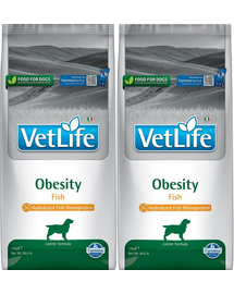 FARMINA Vet Life Obesity Fish 12 kg x 2 hrana dietetica pentru caini supraponderali, cu peste