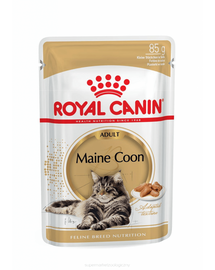 ROYAL CANIN Mainecoon hrană umedă în pliculețe 48x85 g