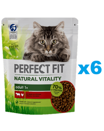 PERFECT FIT Natural Vitality 1+ 6x650 g vita si pui hrana pisici
