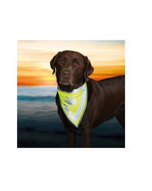 TRIXIE Bandană reflectorizantă XS - S 22 - 28 cm