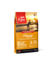 ORIJEN Puppy hrana uscata caini juniori 11.4 kg