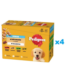 PEDIGREE Junior Pachet hrana umeda pentru catei, sortiment mixt 48x100g