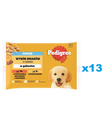 PEDIGREE Junior Set plicuri hrana catei, cu vita si ficat si orez, cu pui si orez, in aspic 52x100g
