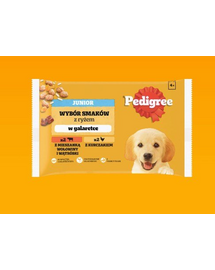 PEDIGREE Junior Choice of Flavours 4x100 g hrana umeda catei, cu vita si ficat si orez, cu pui si orez, in aspic