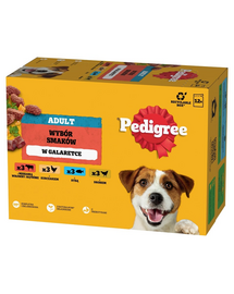 PEDIGREE Adult 12x100 g hrana umeda caini adulti, in gelatina