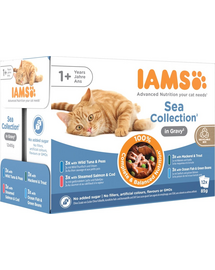 IAMS Cat Delights Adult All Breeds Sea In Jelly Pouch plic pisici 12x85 g în aspic