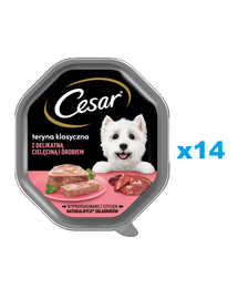 CESAR tacka 14x150 g  mokra karma pełnoporcjowa dla dorosłych psów teryna z delikatną cielęciną i drobiem