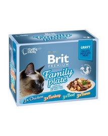 BRIT Premium by Nature pisici fileuri în sos Family Plate 12x85g