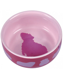 Miska Ceramiczna Dla Świnki Morskiej Z Motywem