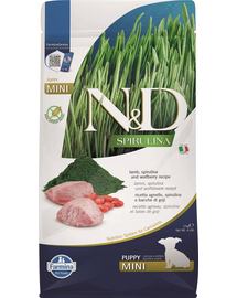N&D Spirulina Puppy Mini Lamb & Wolfberry 2 kg