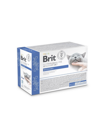 BRIT Veterinary Diet Grain Free Recovery fileuri în sos cu somon pentru pisici, 12x85g