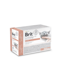 BRIT Veterinary Diet Grain Free Renal fileuri în sos cu somon pentru pisici 12x85g