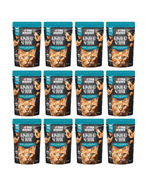 PAN MIĘSKO hrană umedă pentru pisici 12x85 g curcan și ton în sos