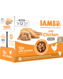 IAMS Advanced Nutrition Kitten Chicken in Gravy Pouch 12x85g hrană umedă pisoi, pui în sos