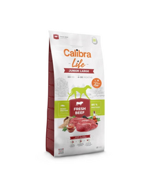 CALIBRA Dog Life Junior Large Fresh Beef 12 kg hrană uscată pentru juniori rase mari cu vită