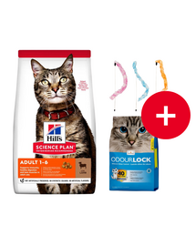 HILL'S Science Plan Feline Adult with Lamb 10kg dla dorosłych kotów z jagnięciną + żwirek i zabawka dla kota GRATIS