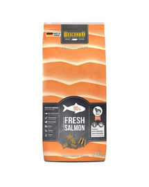 Mastercraft Fresh salmon Świeży łosoś 10 kg