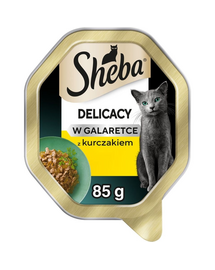 Hrană umedă pisici adulte pui în gelatină SHEBA Delicacy 85 g