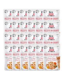 Care Fillets in gravy 24 x 85 g filety indyka i łososia w sosie